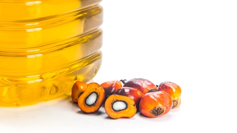 aceite de palma